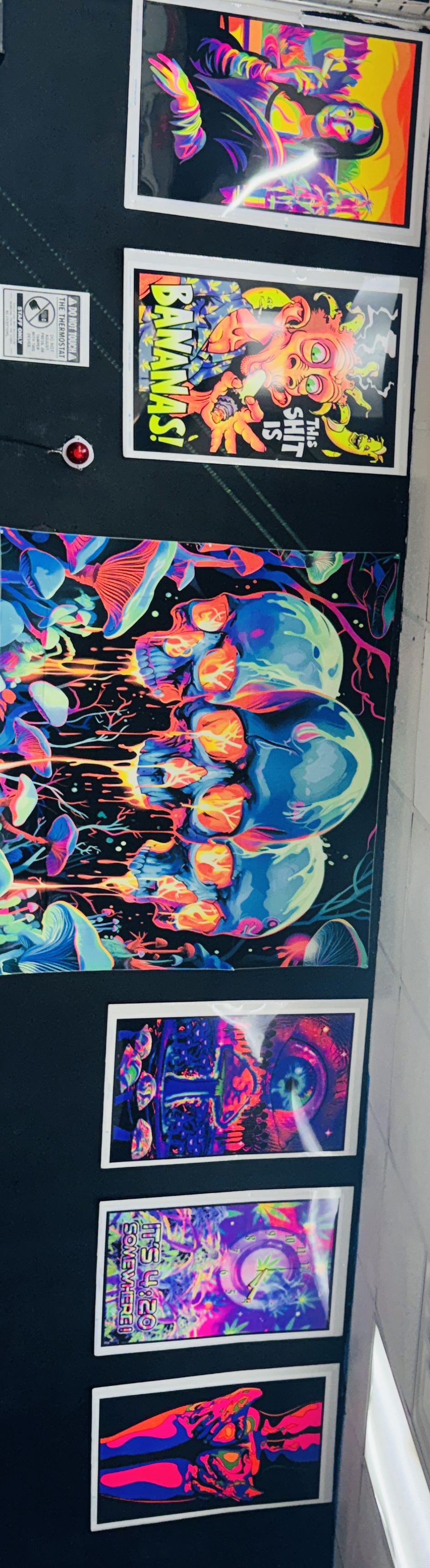 Store Wall Art Collection